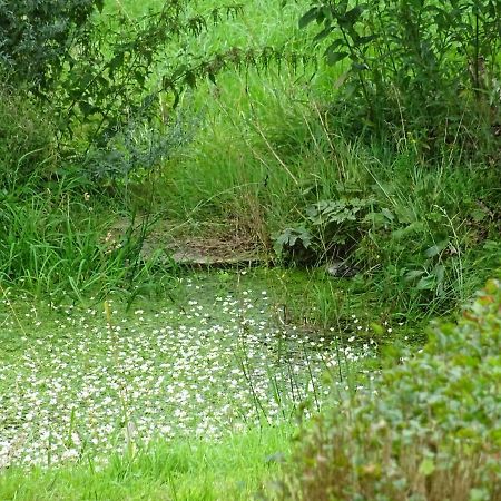 Urselhof Daire Hermsdorf  Dış mekan fotoğraf