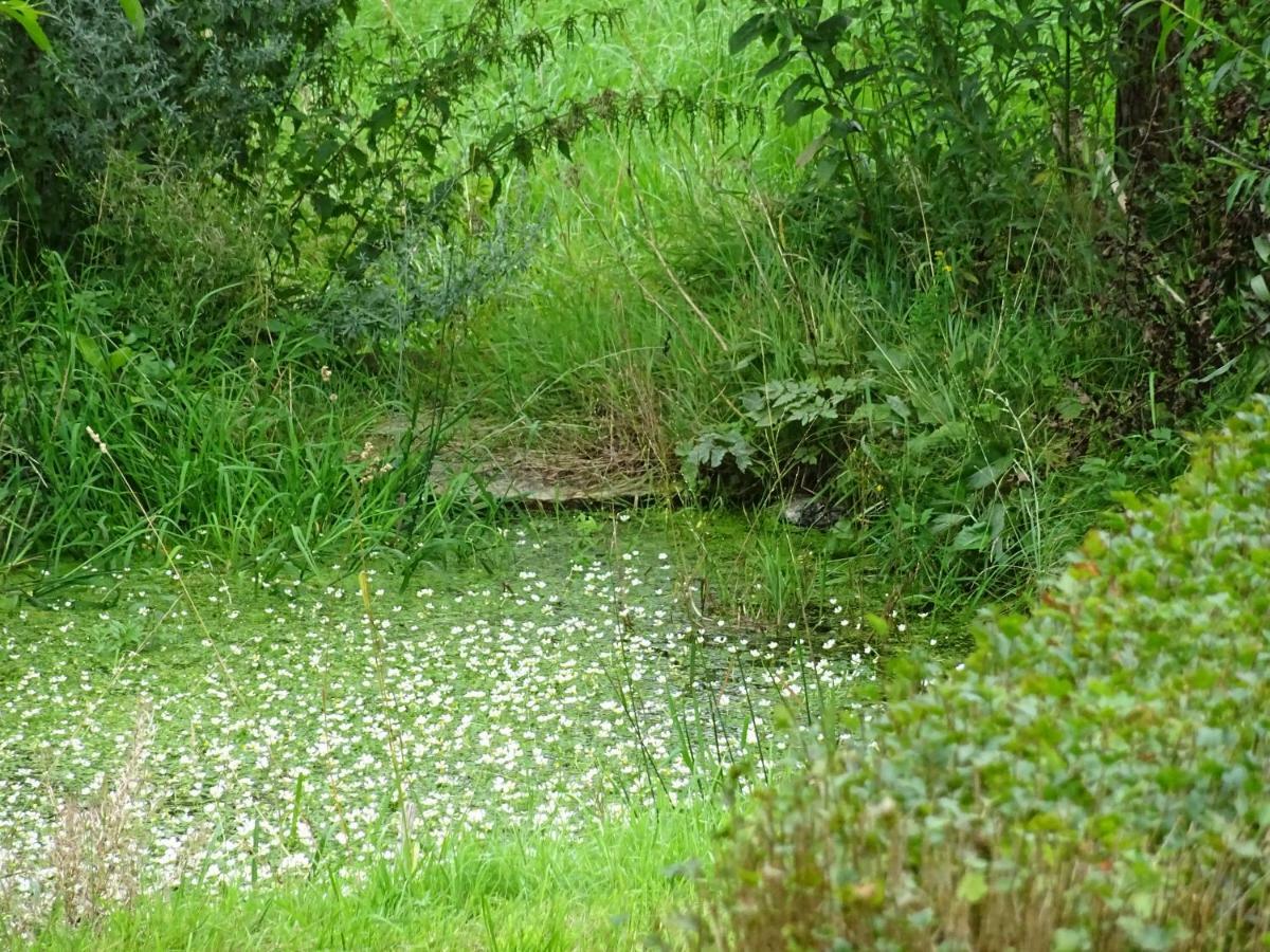 Urselhof Daire Hermsdorf  Dış mekan fotoğraf